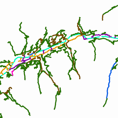 Export Image